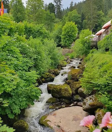 Appartement My Am Heuberg Nr 4 *