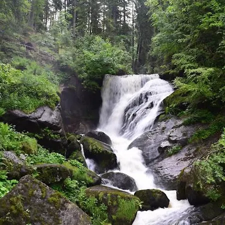 My Am Heuberg Nr 4 Apartament Frittlingen